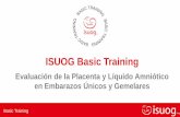 ISUOG Basic Training · Placenta en el 2do trimestre • Sitio placentario • Relación de la placenta con el orificio cervical interno (OCI) • Distancia del borde inferior placentario