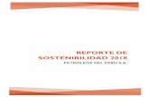 REPORTE DE SOSTENIBILIDAD 2018 - Petroperú...4 “Los hidrocarburos son compuestos orgánicos que contienen diferentes combinaciones de carbono e hidrógeno, presentándose en la