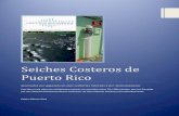 Seiches Costeros de Puerto Rico - Seiche Costero en Puerto ......exitoso trabajo de instalación y mantenimiento por parte de NOAA/NOS/CO-OPS y del Departamento de Ciencias Marinas