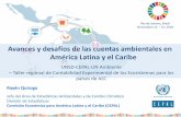 Avances y desafíos de las cuentas ambientales en América ... · Avances y desafíos de las cuentas ambientales en América Latina y el Caribe . Contenido 1 2 3 ... Impulso de la