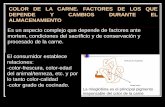 COLOR DE LA CARNE. FACTORES DE LOS QUE DEPENDE Y …ocw.unileon.es/tecnologia-de-la-carne-y-del... · capacidad de reducción de la metamioglobina de la carne y la reversión del