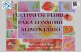 Presentación de PowerPointorientap/agrolola/flores.pdfTecnificación de la floricultura orgánica Fuente de ingresos económicos y empleo a nuestra sociedad debido a: Los procesos