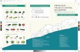 LES VERDURES DEL MENÚ PROVA PILOT …productesdelaterra.diba.cat/sites/productesdela... · L’alimentació en els primers anys de vida té un paper fonamental a la salut, l’educació