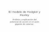 El modelo de Hodgkin y Huxley - Sitio Oficialiie.fing.edu.uy/~mdavid/adjuntos/neurociencias 1/Clase_HH... · 2009-05-11 · Familia de corrientes en fijación de voltaje. Separación