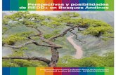 Perspectivas y posibilidades de REDD+ en Bosques Andinos · En el contexto andino la deforestación y la degradación del territorio forestal conforman el sector de más altas emisiones