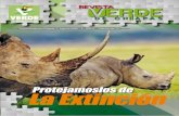 Protejamoslos de La Extinciónpvemchiapas.org.mx/wp-content/uploads/2019/02/ACT-ESP... · 2019-02-20 · 4 Lamentablemente, hoy en día son mu-chas las especies en peligro de extinción.