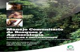 VÍNCULOS E IMPLICACIONES · 3.1 Concepto de territorio y visión general de los diferentes tipos de sistemas de tenencia ... CENSAT/AT Colombia, Coecoceiba/AT Costa Rica, NAT-Brésil/AT