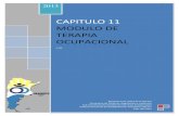MODULO DE TERAPIA OCUPACIONAL - Argentina · 2.2. Movilizar pasivamente estructuras corporales en forma analítica y en patrones funcionales. 3- Prevenir posiciones que conduzcan