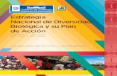 Estrategia Nacional de Diversidad Biológica y su Plan de ......Gestión de la biodiversidad: se refiere a todas aquellas actividades que vinculan el proceso de conser-vación de la