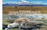 21.11 Estudio de la Capacidad de Carga en Bofedalesalt-perubolivia.org/Web_Bio/PROYECTO/Docum_bolivia/21.11 VOL1 P1.pdf · Estudio de la capacidad de carga en bofedales para la cría