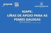 i gape.es xunta.gal IGAPE: LIÑAS DE APOIO PARA AS PEMES ...agaca.coop/wp-content/uploads/2018/01/2018_axudas_PEMES-igape.pdfTécnico responsable de programas IGAPE i gape.es xunta.gal