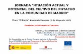 Comunidad de Madrid - JORNADA “SITUACIÓN …...JORNADA “SITUACIÓN ACTUAL Y POTENCIAL DEL CULTIVO DEL PISTACHO EN LA COMUNIDAD DE MADRID” Finca “El Encín”, Alcalá de Henares