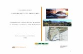 CASO BENETTON - MAPUCHE · breve repaso de la historia de la Compañía Tierras del Sud Argentino propiedad de Benetton. Luego se recorrerán simplificadamente los antecedentes del