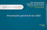 Presentación de PowerPoint · 2018-10-10 · Rafael Vidal CIEES Foro Internacional ... Proceso general de trabajo de los CIEES . Para los CIEES, un programa educativo ... II. Currículo