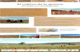 Un éxito en consolidación - Sites de représentation / IRD · Diversidad de medios y de quinua El altiplano, con sus paisajes muy variados, alberga una diversidad agrícola heredada