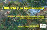 BOLIVIA y su biodiversidad - WordPress.com · 2011-07-01 · BOLIVIA y su biodiversidad Ciclo ... incluidos, entre otras cosas, los ecosistemas terrestres y marinos y otros ecosistemas