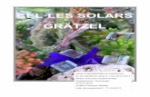 Benvingut a l'Institut Francesc Ribalta - CEL·LES SOLARS GRÄTZEL · 2014-11-20 · L' energia es pot presentar sota diverses formes, que, pel principi de conservació de l'energia,