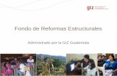 Fondo de Reformas Estructuralesreformas-guatemala.org/pdf/presentacion_general.pdf · 2019-02-25 · Mecanismos de análisis de la capacidad y del uso actual de la tierra y sus implicaciones