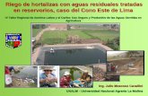 Riego de hortalizas con aguas residuales tratadas en reservorios, … · 2013-01-29 · Rendimientos comparativos de la producción regados con agua de canal y reservorio (en US $)
