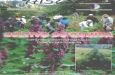 quinua.pequinua.pe/wp-content/uploads/2014/03/Cultivo-de-quinua.pdf · Se espera que el consumo de la Quinua no solamente sea a nivel de los humanos, Sino que se disponga de este