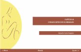 capítulo 20 cuidado crítico en el embarazobdigital.unal.edu.co/1563/43/Cap_20.pdf · vez valga la pena individualizar el enfoque general de manejo del paciente crítico con base