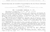 Contribución al estudio histológico de la flora chilenarchn.biologiachile.cl/pdfs/1924/1/Scala_1924.pdf · 17 • · Contribución al estudio histológico de la flora chilena POR