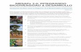 NBSAPs 2.0: INTEGRANDO BIODIVERSIDAD & DESARROLLOpubs.iied.org/pdfs/G03746.pdf · 2015-07-24 · Declaración de Maun sobre la Integración de la Biodiversidad y el Desarrollo ENERO