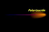 Polarización - ifa.uv.cljura/Fisica_II/semanaXII_1.pdf · natural parte de la luz se refleja y parte se refracta. • Malus descubrió en 1808 que si hacemos incidir una luz sobre
