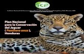 Plan Nacional para la Conservación del Jaguar Honduras · 2019-03-05 · Plan Nacional para la Conservación del Jaguar (Panthera onca) Honduras Acrónimos AFE-COHDEFOR Administración