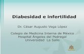 Diabesidad e infertilidad - Mix Académico - - [Alianza Médica] - · Diabesidad e infertilidad •Disminución en la capacidad de concebir comparada con la capacidad media de la