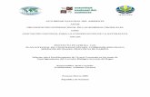 Panamá, 11 de Enero del 2006 · Informe sobre Establecimiento de Viveros Forestales en las zonas de Amortiguamiento del Corredor Biológico Serranía del Bagre Responsables: Raúl