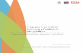 Programa Nacional de Consumo y Producción Sustentablesmetadatos.mma.gob.cl/.../324135/PNCPS_F.pdf · elaborar el PNCPS de Chile, que debe ser una herramienta orientadora que establezca