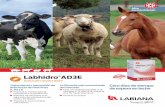 Labhidro AD3EInterviene en la regulación del metabolismo del calcio y del fósforo, incrementando la absorción intestinal y tubular del calcio, siendo además necesaria para la mineralización