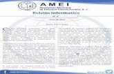 AMEI: 3er Boletín Informativo · para la ONU, la Agencia Española de Cooperación Internacional para el Desarrollo y para la Agencia Mexicana de Cooperación Internacional para