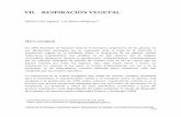 VII. RESPIRACIÓN VEGETALbdigital.unal.edu.co/8545/20/09_Cap07.pdf · Laboratorio de fisiología y bioquímica vegetal. Departamento de biología. Universidad Nacional de Colombia