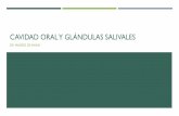 CAVIDAD ORAL Y GLÁNDULAS SALIVALESmedicina-ucr.com/.../08/P19-Cavidad-Oral-y-Gl-Salivales-ppt-Dr.-Madriz.pdf · GINGIVITIS Inflamación de mucosa oral que rodea los dientes. Mala
