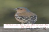 Introducción a la observación de aves...Indroducción a la observación de aves 1 1. Me gustaría saber algo más sobre las aves de mi área. ¿Qué herramientas necesito como principiante?
