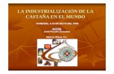 LA INDUSTRIALIZACIÓN DE LA CASTAÑA EN EL MUNDOmediorural.xunta.gal/fileadmin/arquivos/investigacion/... · 2008-12-09 · LA INDUSTRIALIZACIÓN DE LA CASTAÑA EN EL MUNDO OURENSE,