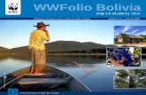 WWFolio Boliviad2ouvy59p0dg6k.cloudfront.net/downloads/wwfolio_no6...para la cadena productiva de la castaña e iniciativas de bio-comercio en Pando Entre las líneas estratégicas