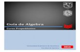 Guía de Algebra - quimica.uaq.mxa Algebra 2016.pdf · 4.5 Determina la expresión algebraica del área de un rectángulo cuyas dimensiones suman 8 cm. 4.6 Calcula la expresión algebraica