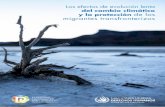 del cambio climático y la protección de los migrantes ......de que los Estados adopten medidas para mitigar el cambio climático y prevenir sus efectos negativos en los derechos