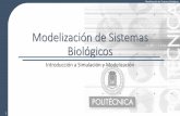 Modelización de Sistemas Biológicos...4 Modelización de Sistemas Biológicos Evolución del Método Científico •Método tradicional: 1. Observar el comportamiento de un fenómeno.