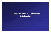 Ciclo Celular - Mitosis - MeiosisCiclo celular Fase G0: se la encuentra fuera del ciclo, cuando una célula ha ido a esta etapa, ha abandonado el ciclo y ha perdido la capacidad de