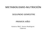 SEGUNDO SEMESTRE PRIMER AÑOuvsfajardo.sld.cu/sites/uvsfajardo.sld.cu/files/co_10_aa... · 2017-05-11 · catabolismo de aminoacidos. glucogenicos cetogenicos cadena carbonada nh