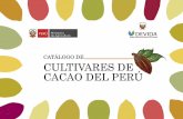 CULTIVARES DE CACAO DELPERÚ - Gobagroaldia.minagri.gob.pe/.../catalogo_cultivares_cacao.pdf · 2017-03-30 · cacao existentes en el país, el Ministerio de agricultura y la comisión