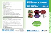 Innside Palma Bosque OCTUBRE / NOVIEMBRE 2018 Gorka … · 2018-10-05 · - Sistema básico de Pischinger, enfermedades de ensuciamiento, densificación MEC. - Artropatías y su protocolo