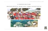 CAPITULO III RESPUESTA SOCIAL ORGANIZADA · 2005-12-21 · Analisis de Situación de Salud Cusco 2005 329 CAPITULO III RESPUESTA SOCIAL ORGANIZADA A LOS PROBLEMAS DE SALUD. La Dirección