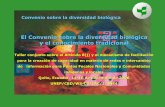 El Convenio sobre la diversidad biológica y el …Sistemas sui generis para la protección de los conocimientos, innovaciones y prácticas de las comunidades indígenas y locales