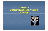 Tema 1: VISIÓN NORMAL Y BAJA VISIÓNbarbacana.net/moramerchan/files/Tema1.pdfojo de mejor visión. - 95%, tratados antes de los 4 años.-30%, entre los 4 y los 8 años.-Escasos éxitos