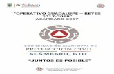 “OPERATIVO GUADALUPE – REYES 2017-2018” · Plan de Contingencias “Programa Municipal de Protección Civil para la Atención del Fenómeno Socio Organizativo Guadalupe–Reyes